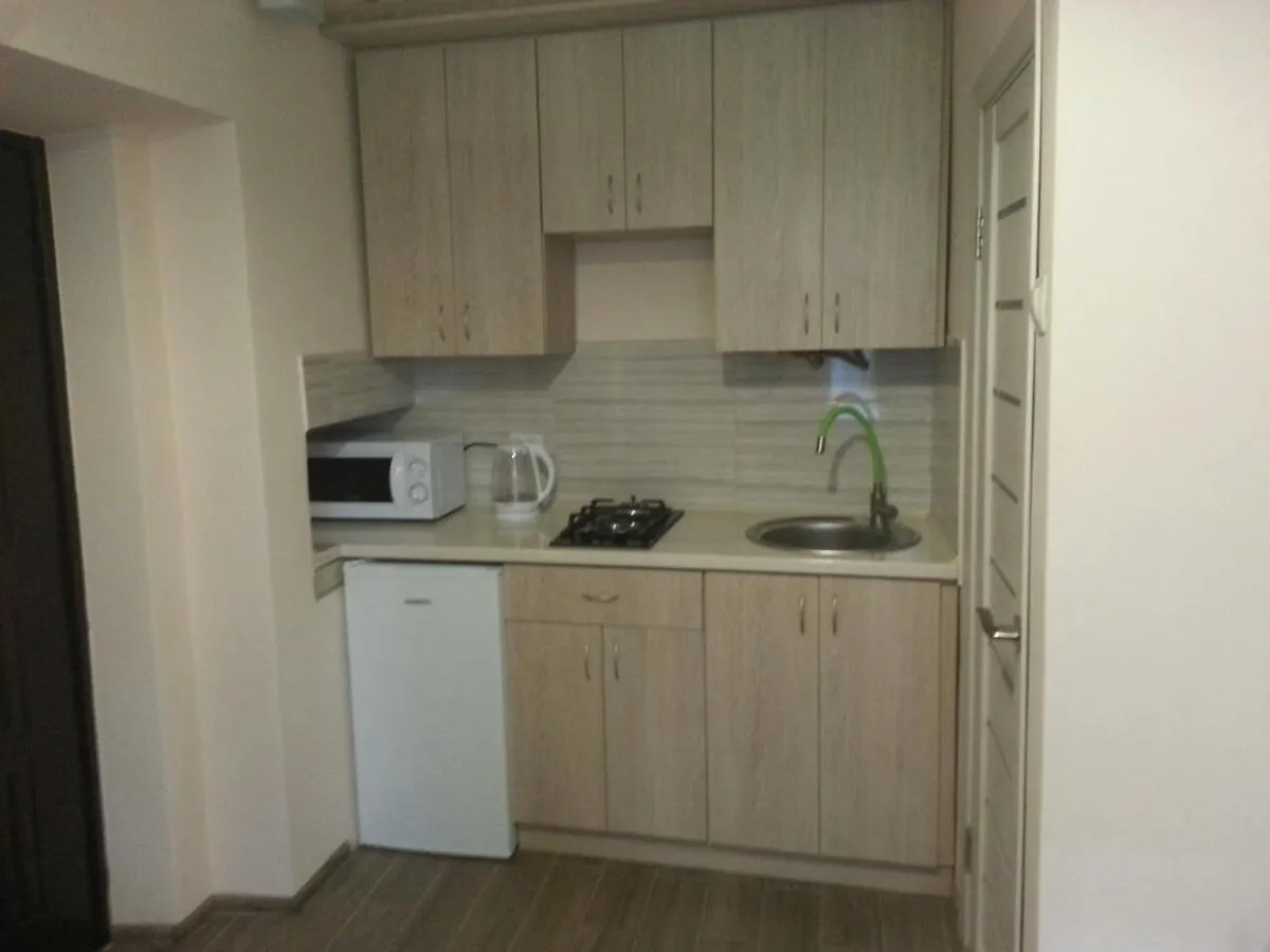 Balabana Street Apartment Lviv
